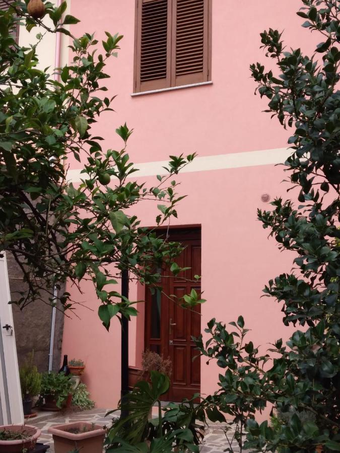 L'Agrifoglio Di Emy Bed & Breakfast Guspini Eksteriør bilde