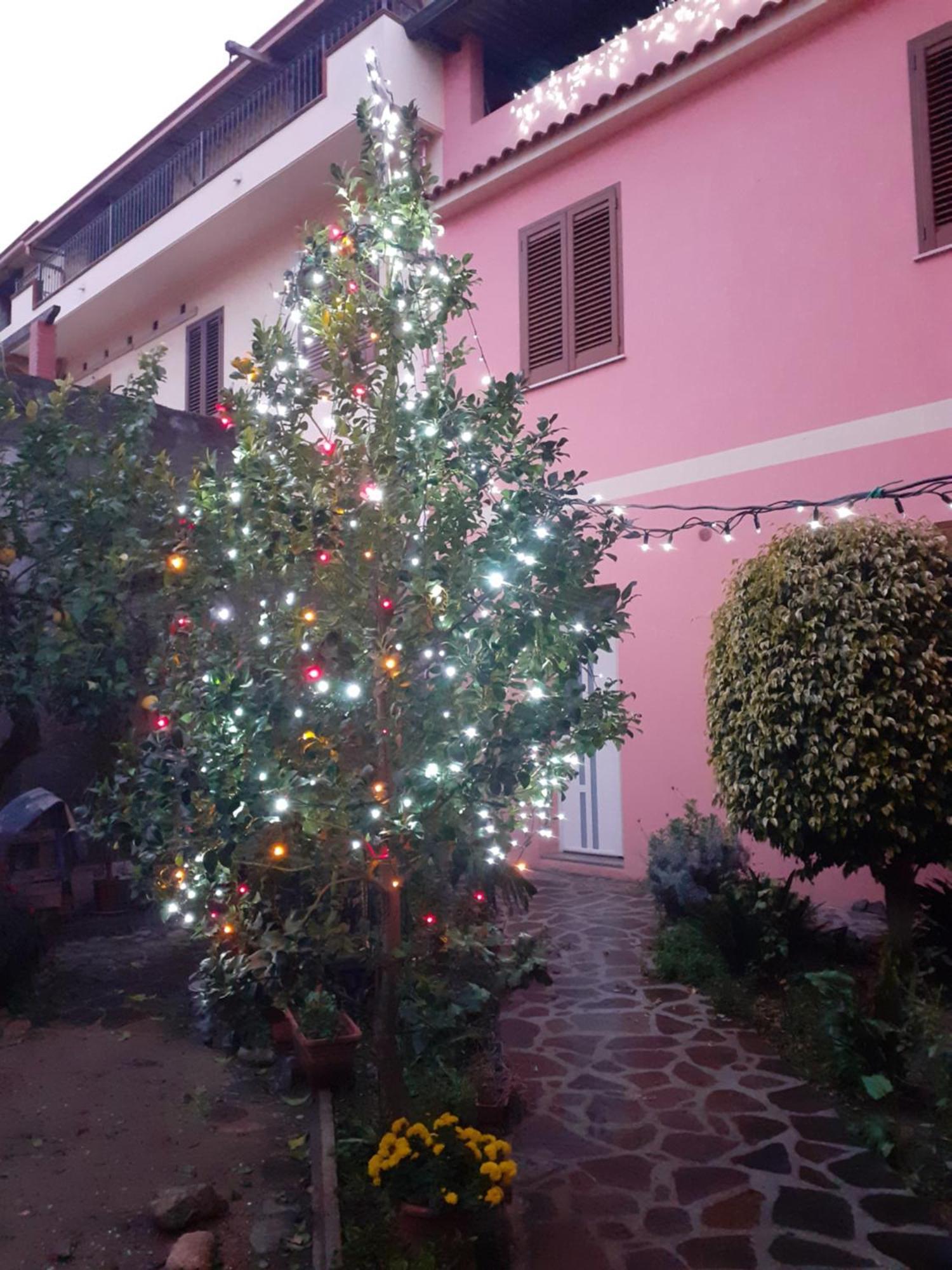 L'Agrifoglio Di Emy Bed & Breakfast Guspini Eksteriør bilde